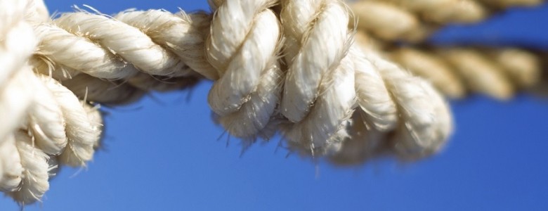 Foto knoop_bijgesneden 2.jpg