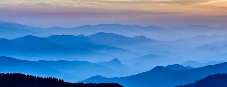 Rhythm_of_the_mountains breed.jpg